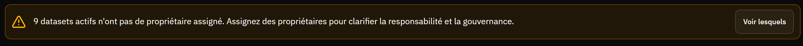 Bandeau affiché par le produit : 9 datasets actifs n'ont pas de propriétaire assigné